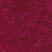 IB Dots-Currant