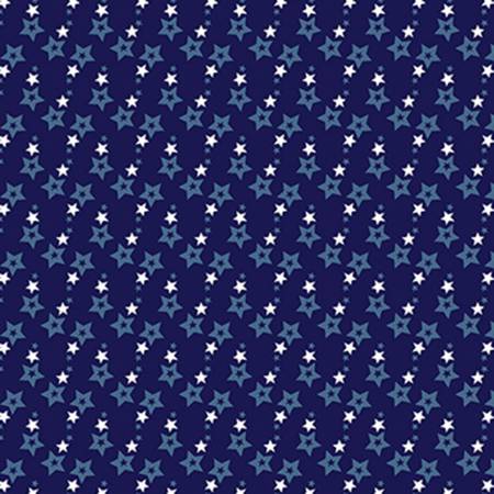BE Mini Stars Navy