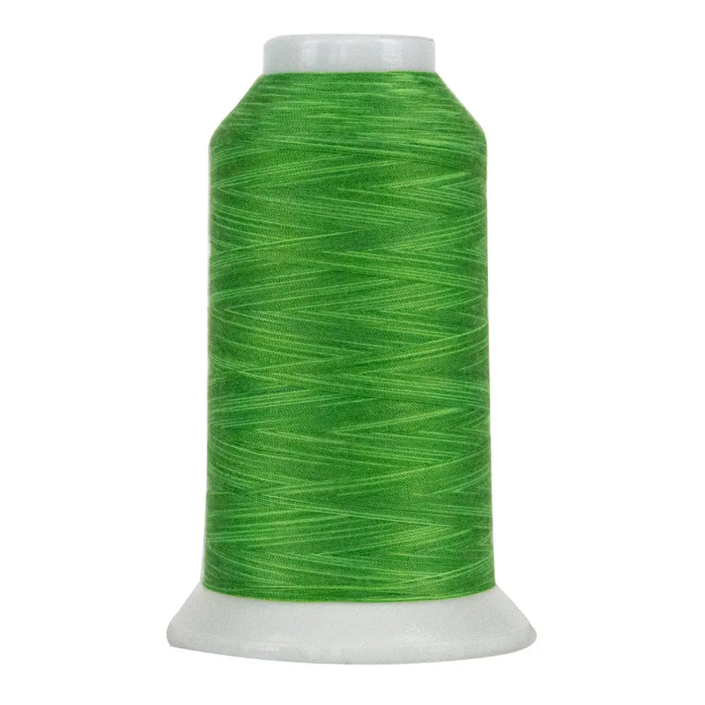 9029 Fresh Green Omni Variegated Polyester Thread — High Country Quilts