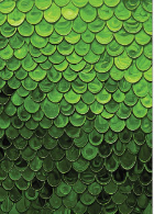 CA Green Ombre Raindrops