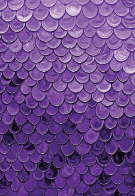 CA Purple Ombre Raindrops