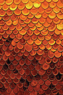 CA Orange Ombre Raindrops
