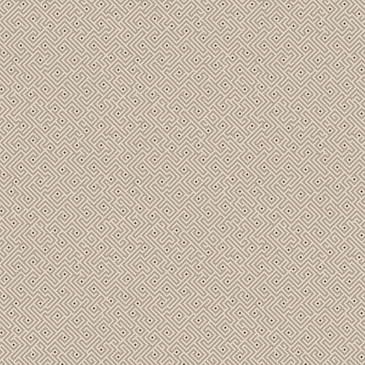 Maze Cappuccino - Shadow & Stone by Benartex