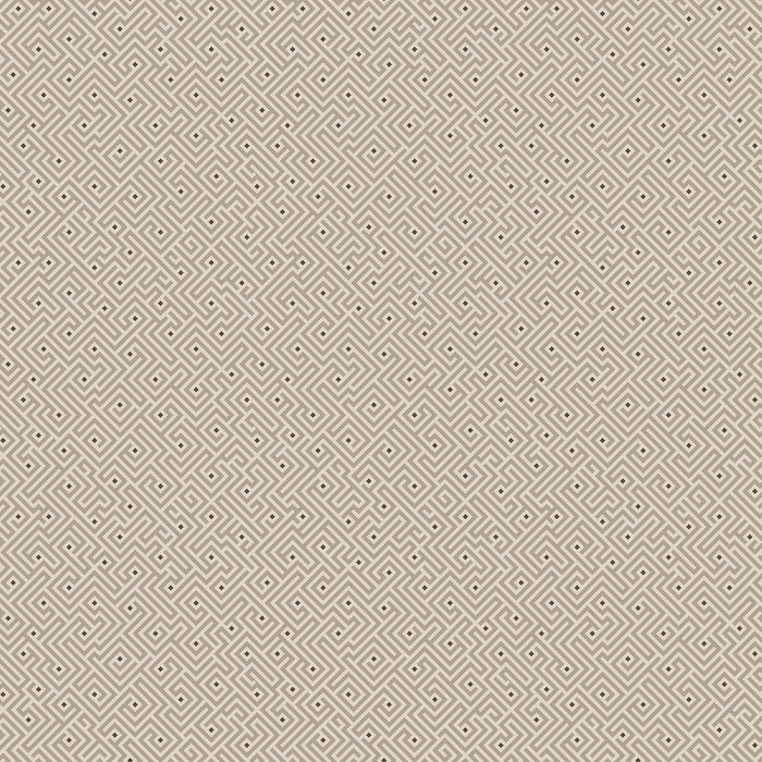 Maze Cappuccino - Shadow & Stone by Benartex