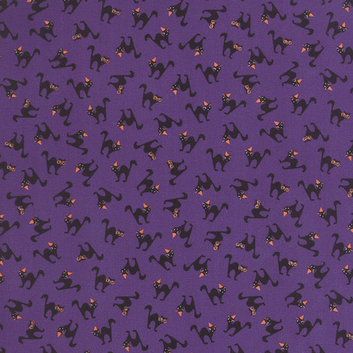 MO Spooky Delights 2902-16 Potion Purple