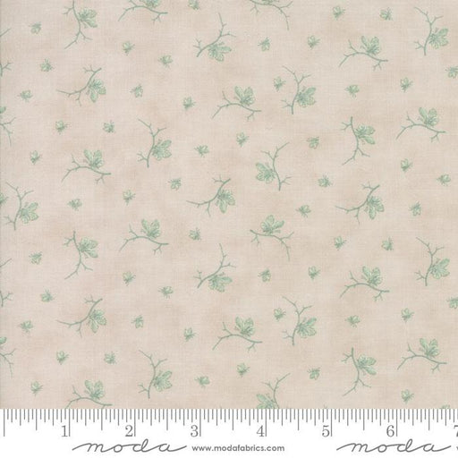 MO Quill 44157-21