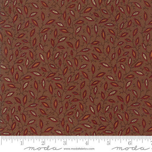 MO Spice It Up Medium Brown 38053 17