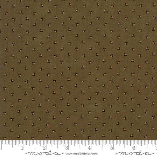 MO Spice It Up Olive Green 38057 13