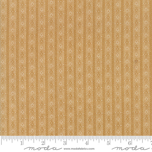 MO Hickory Road Mustard Gold