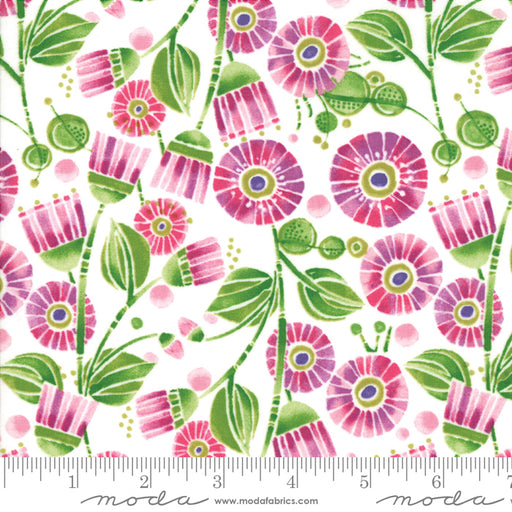 MO Sweet Pea Lily 48641 11
