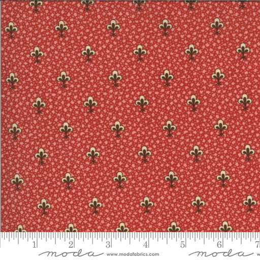 MO Elinores Endeavor 31613 12 Primrose