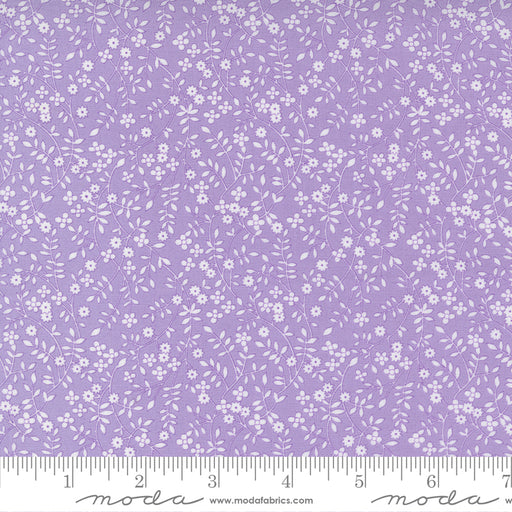 MO 30s Playtime Lilac