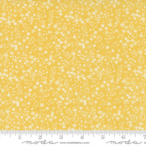 MO 30s Playtime Yellow