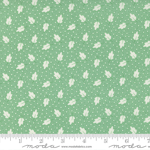 MO 30s Playtime Aloe