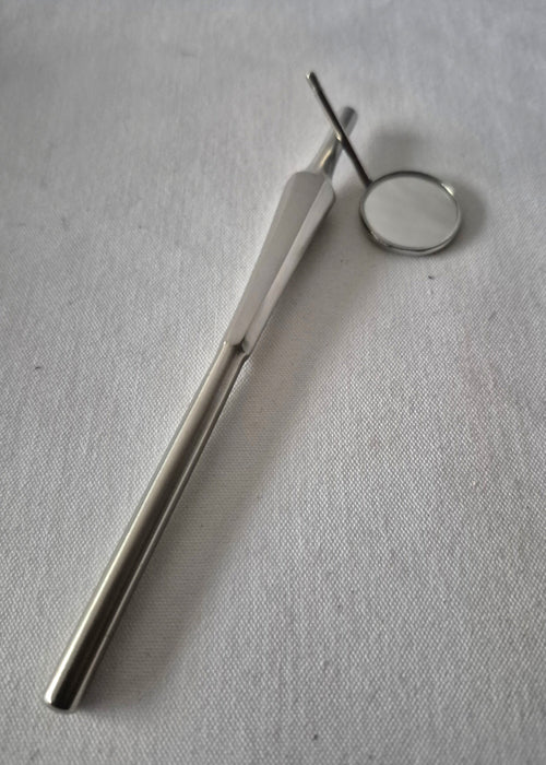 Deluxe dental mirror handle