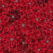 HO Joyful Traditions T7749 5S Red/Silver