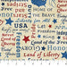 NC Stars and Stripes 8 Extra Wide B23461-12