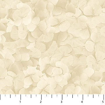 NC Harlow 23603 11 Cream
