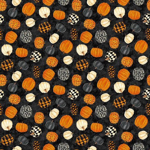 NC Black Cat Capers 24117 99 Black Multi