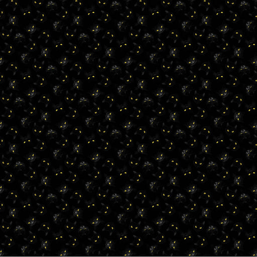 NC Black Cat Capers 24120 99 Black Multi 