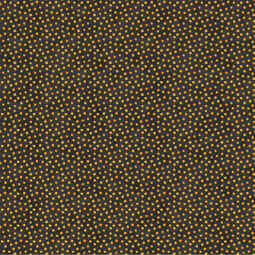 NC Black Cat Capers 24125 99 Black Orange