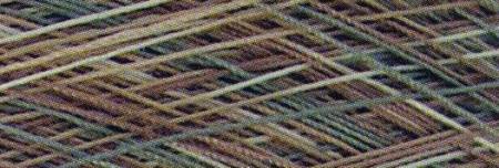 Machine Cotton Quilting Thread 3-ply 3000yd Variegated Sticks and Stones