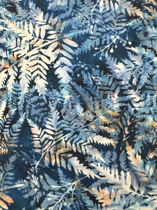 HO Navy Ferns