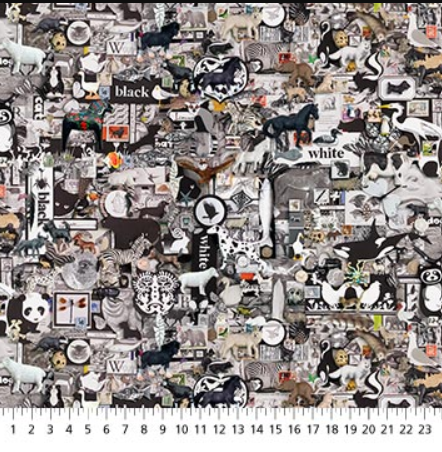 NC Color Collage Black Collage Black/White