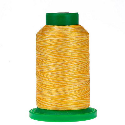 Isacord Variegated Thread 1000m