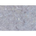 WL Batik 2678-990