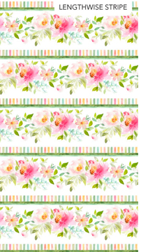 NC Sweet Surrender Border Stripe White Multi