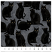 NC Hallow's Eve Black Cats Gray Black