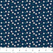 NC Hole in One Tossed Balls Navy