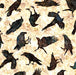 QT Wicked CROWS E