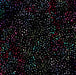 QT Neo Geo Mini Dots on Black