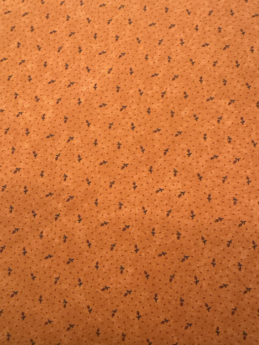 MO Daisy Lane Orange