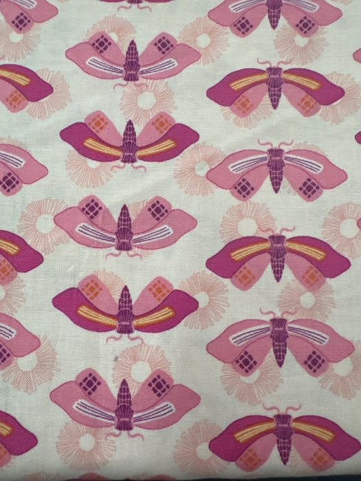 AN Wandering Moth Pink