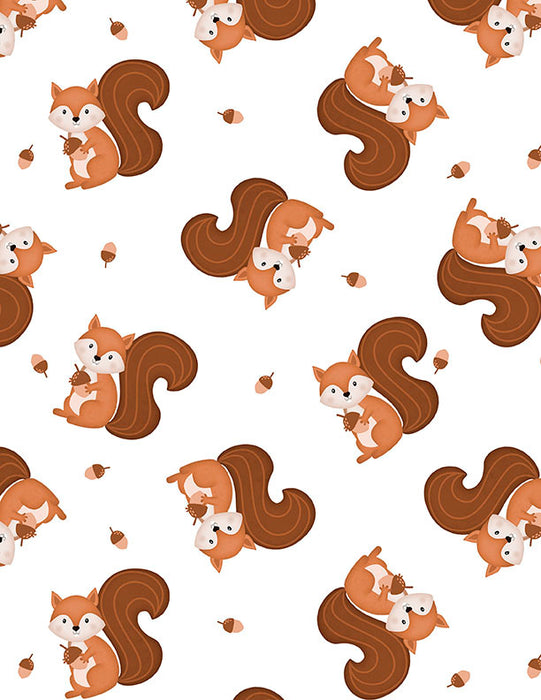 Squirrel Toss White 44in Wide - Woodland Whimsy