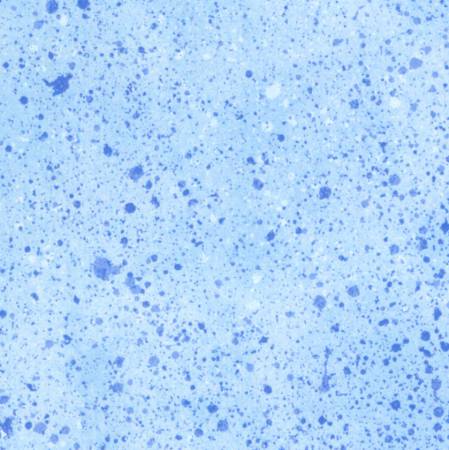 WL Spatter Light Blue