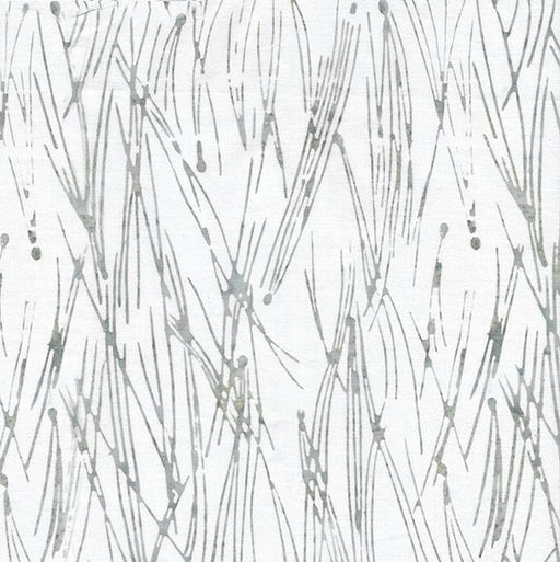 IB Scattered Lines-Grey