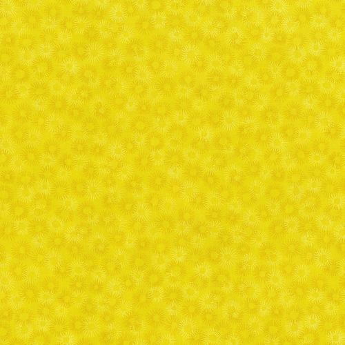 RJR Hopscotch 3219-4