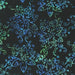 AN Giggles Floral Batik