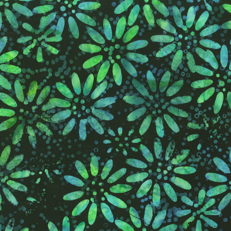 AF 341Q-7 Nightshade