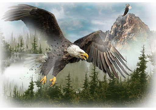 HO Call of the Wild PANEL Eagle