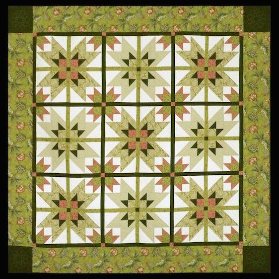 Star Puzzle
