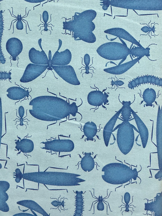 HG Blue Bug,Bug, Bug-Tim Read 3256-17