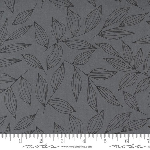 MO Create Graphite 
