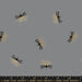 MO Firefly Metallic Falcon