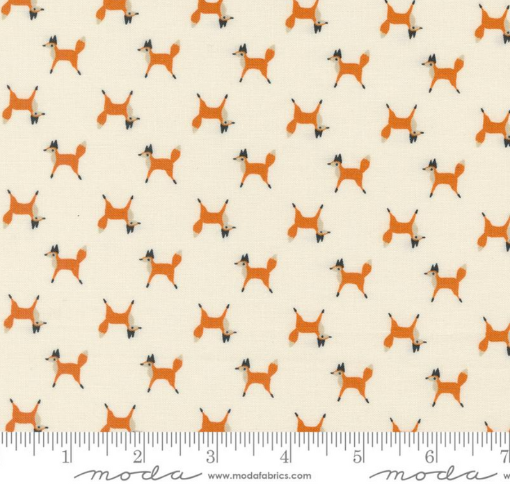 MO Woodland Wonder Sky 48394 11
