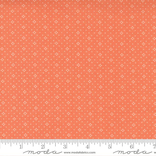 MO Cinnamon Cream Coral